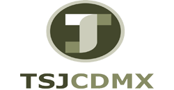 TSJ